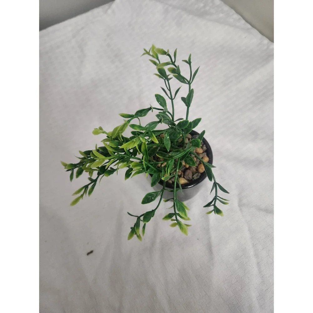Mini Artificial Greenery Plant in Black Ceramic Pot Faux Desktop Decor Accent